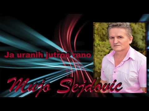 Mujo Sejdovic  - Ja uranih jutros rano