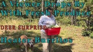 Morning Deer, Heater Burritos, and A Viewer Drops by with Fresh Organic Produce