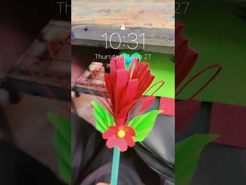 small flower🌹❤️🙂