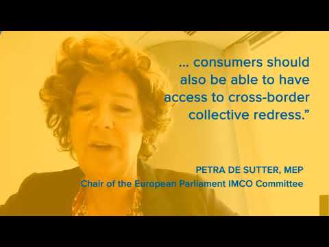 MEP Petra De Sutter intervenes on DIESELGATE during Euroconsumers webinar