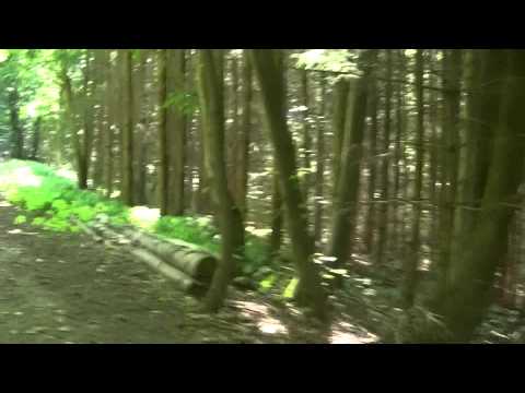 MongoTV_561 - Del 22 - Fede John På Skovtur Og Søndagsudflugt - 23.August 2015