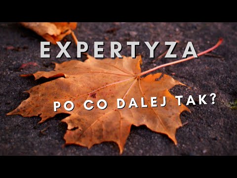 Expertyza - Po Co Dalej Tak? (Lyric Video)