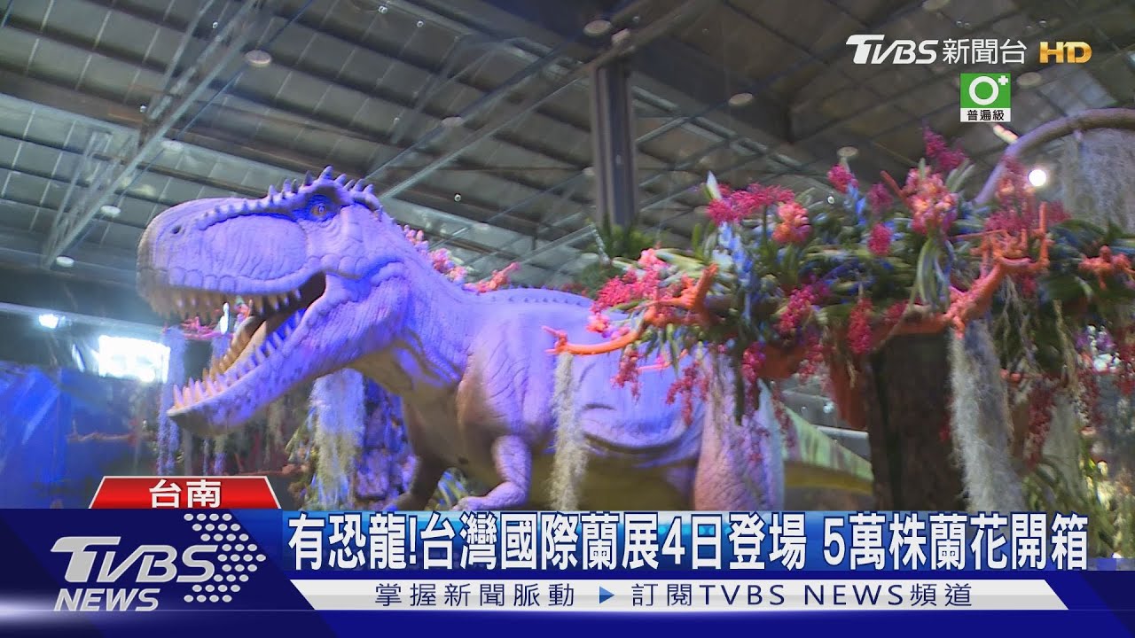 有恐龍喔!台灣國際蘭展4日登場 5萬株蘭花開箱驚豔