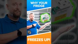 How a Defrost Timer Saves Your Fridge from Freezing Over