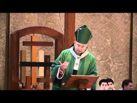 Homily: 23rd Sunday in Ordinary Time (09/04/2011)