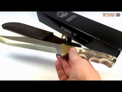 Puma Alamo Stag Handle knife - review