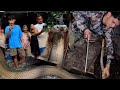 MGA COBRA SA GILID NA NG BAHAY NAG LUNGGA