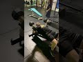 80lb Dumbbell Flys