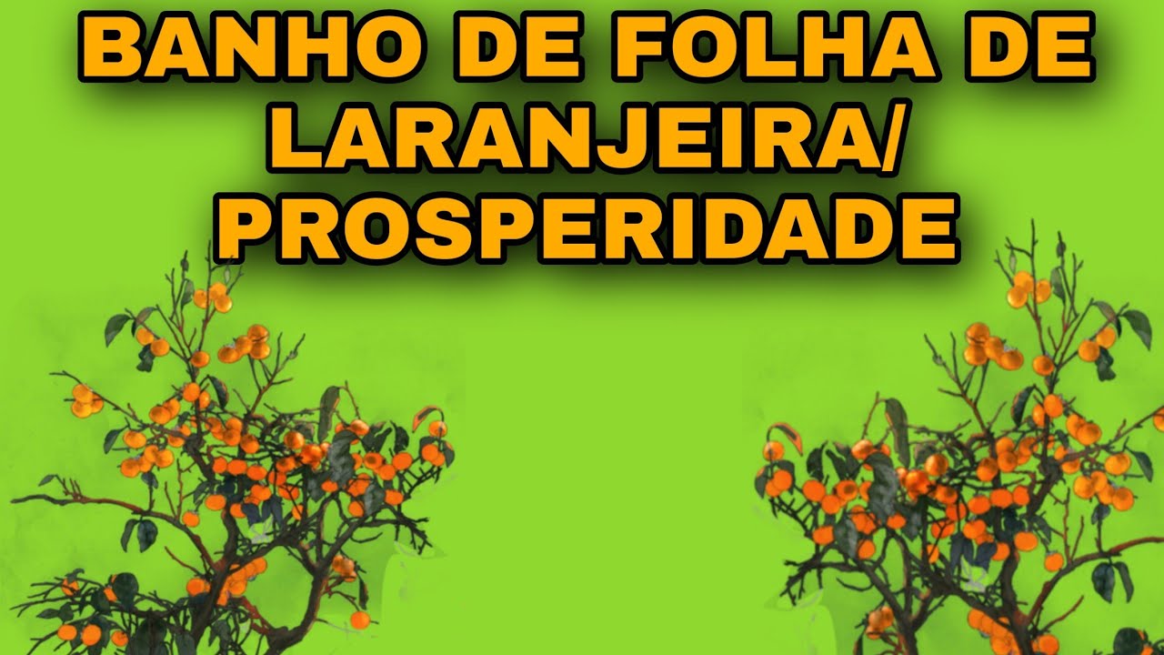 BANHO DE FOLHA DE LARANJEIRA PARA PROSPERIDADE E EQUILÍBRIO
