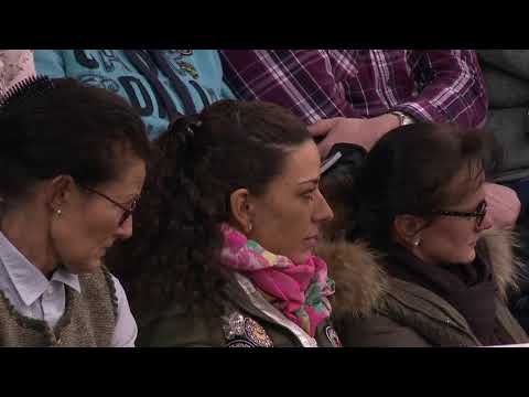 Total Hope Hengstvorführung Verden 2019