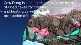 Cow dung Products, Buy and Sell Cow Dung products, Cakes, Log, Cups, etc.
