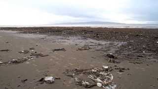 Troon South Beach   4 Jan 2014