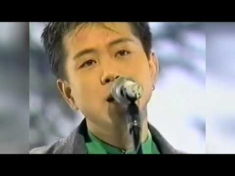 藤井フミヤ TRUE LOVE