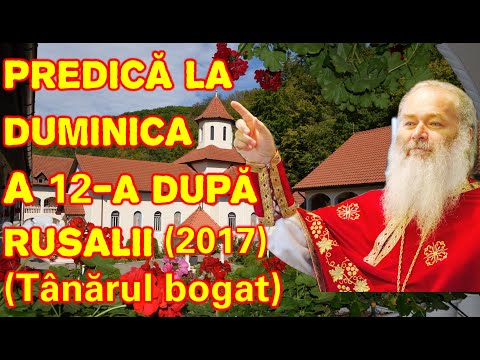 Father Ghelasie Țepeș - SERMON ON THE 12TH SUNDAY AFTER PENTECOST - Sighișoara Monastery 27.08.2017