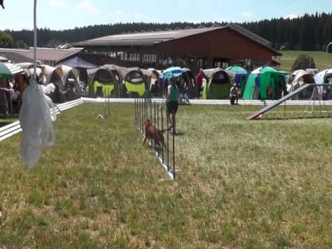 swhv VM 2013 A3 210713