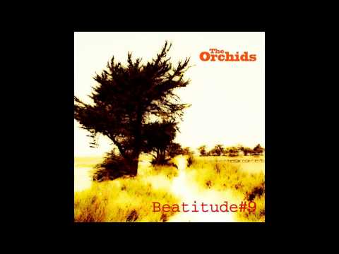 The Orchids - 