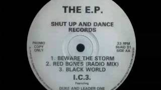I.C.3. Featuring Duke and Leader One - Red Bones (Radio Mix)
