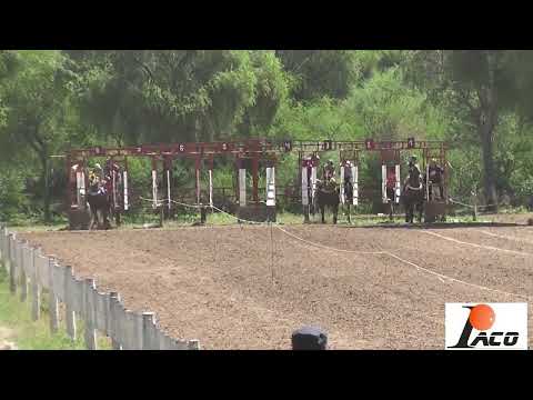 SOFIA HIPODROMO DON NICO BAÑADO DE SOTO 13 03 2022