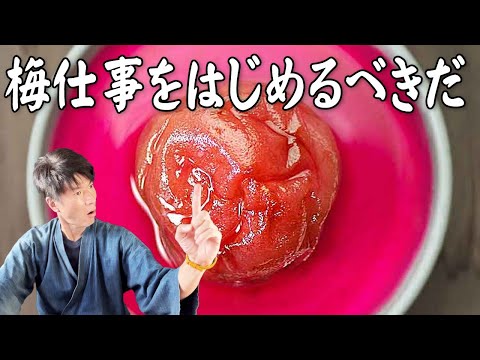 自家製梅干し