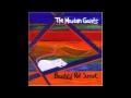 Resonant Bell World - The Mountain Goats