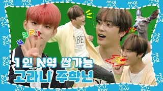 (sub) [쑈잇] 거 고라니 울기 딱 좋은 날씨네 | 과몰입장 더보이즈