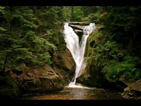 WGB WOLNA GRUPA BUKOWINA - SIELANKA O DOMU