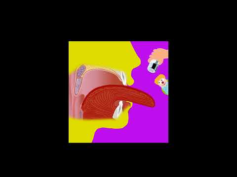 Welt der Sinne: Der Geschmackssinn