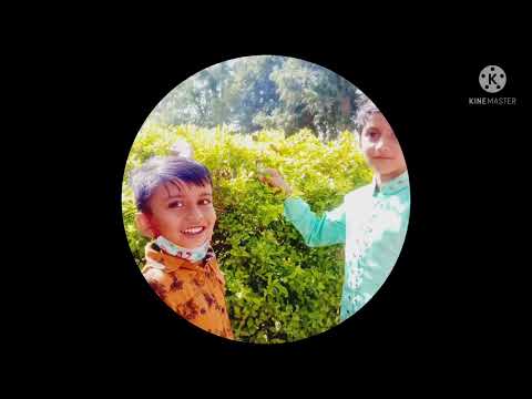 happy birthday 🎂 🎉 15/5/2022