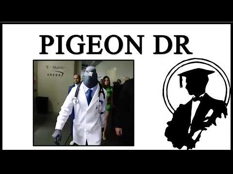 Pigeon Doctor Is Tuff
