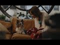 The most emotional commercial ever