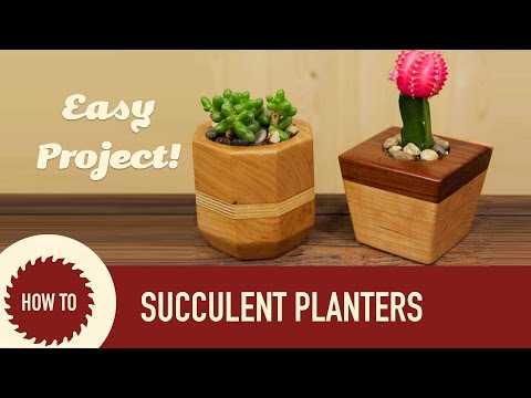 How to Make Succulent & Cactus Planters