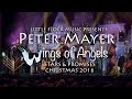 Peter Mayer - Stars & Promises Christmas 2016