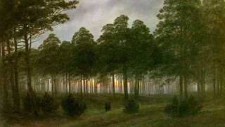 Download lagu Wagner/Liszt - Phantasiestück über Motive aus Rienzi S.439 mp3 Download lagu Wagner/Liszt - Phantasiestück über Motive aus Rienzi S.439 mp3