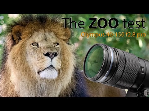 Zooming into Wildlife: Olympus 40-150mm f/2.8 Lens Tested at Copenhagen Zoo
