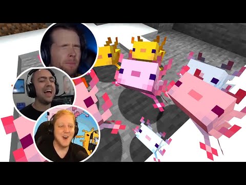 Gamers Reaction to First Seeing the Axolotl Mob in Minecraft 1.17 Cave Update