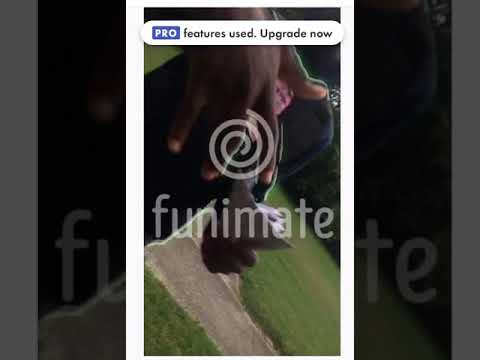 Kta glockkz ft ymg j9 fuck da opps