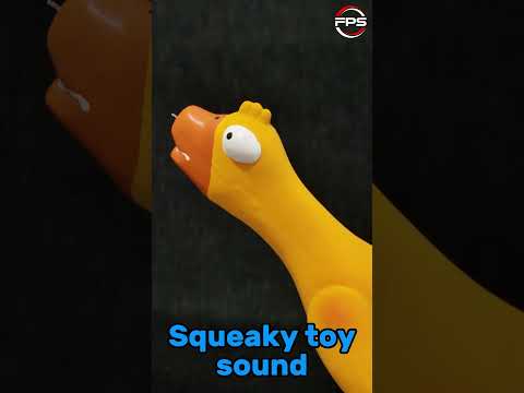 Sounds for Dogs: Squeaky Toy Sounds That Mesmerize 🐕🔊#shorts