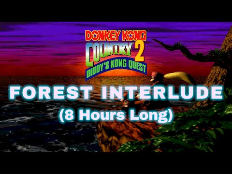 Forest Interlude - Donkey Kong Country 2 - 8 Hours
