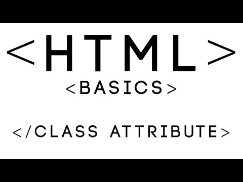 HTML Basics Tutorial 24 Class Attribute