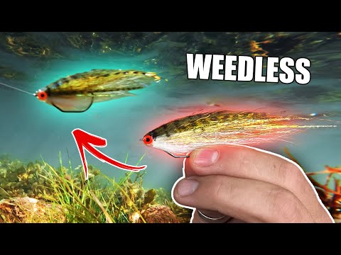 Tying a WEEDLESS Perch Fly (Tie TV ft. Niklaus Bauer)