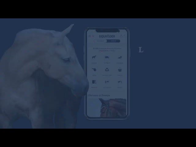 Jeune cheval &agrave; confier pour sport 