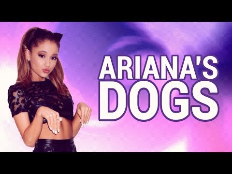 download lagu mp3 mp4 Ariana Grande Better Off Wiki, download lagu Ariana Grande Better Off Wiki gratis, unduh video klip Ariana Grande Better Off Wiki