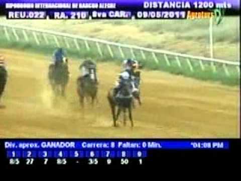 Resumen Lunes, 09 de Mayo de 2011 - Rancho Alegre