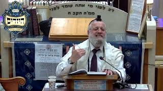 הרב דוד שטרית  •  חק לישראל פרשת משפטים (בית הכנסת מוסאיוף) - התמונה מוצגת ישירות מתוך אתר האינטרנט יוטיוב. זכויות היוצרים בתמונה שייכות ליוצרה. קישור קרדיט למקור התוכן נמצא בתוך דף הסרטון