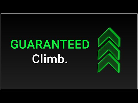 The Only Jungle Video You Will Ever Need (for real)