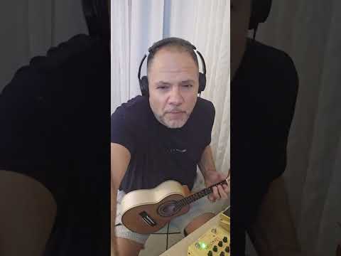 Os Papeis - Luiz Carlos da Vila