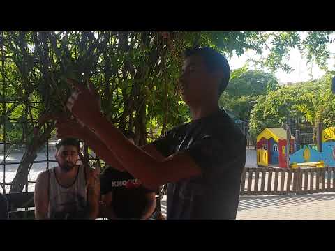 FLEKY vs SALAS [OCTAVOS] [RAGNAROK BATTLE II]