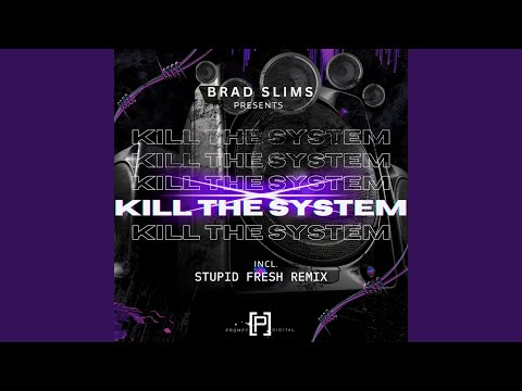 Kill The System (Stupid Fresh Remix)