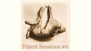 Forest Sessions #6 : J'ai Trouvé mon Jardin