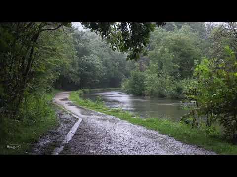 Heavy Rain & Rolling Thunder | Helps with Sleep, Study, Meditation, PTSD, Insomnia & Tinnitus